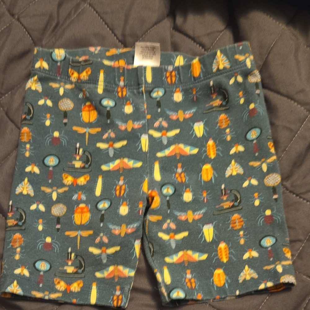 Piccolina Entomology Bug SHORTS 5T